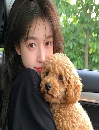 专业解读：《流星突击》的情感表达与人性探索——艺术与技术的完美结合